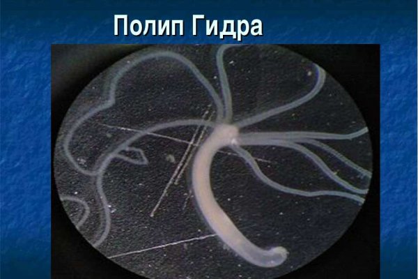 Восстановить доступ к кракену