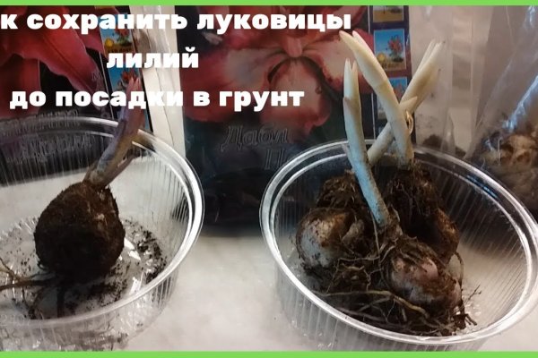 Кракен маркетплейс в тг
