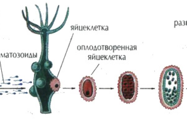 Ссылка кракен официальная тор