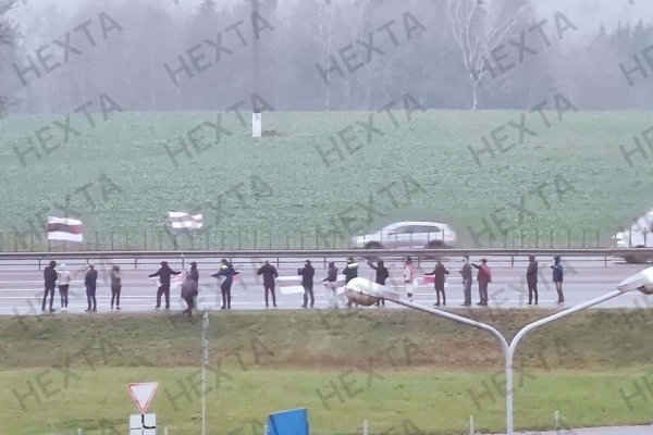 Модератор на кракене