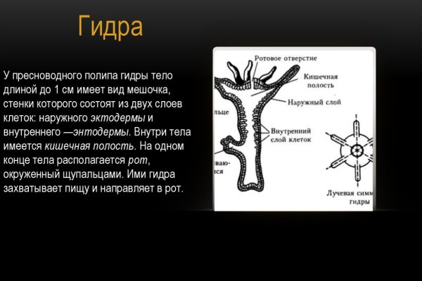Kraken домен