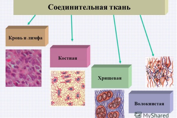 Официальная ссылка на кракен в тор
