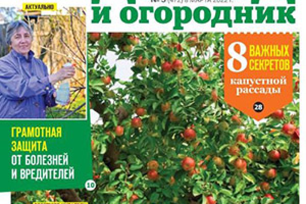Кракен это что за сайт