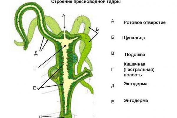Кракен даркнет официальный сайт