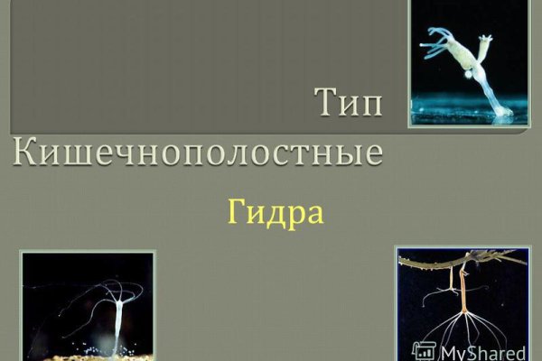 Кракен 15at