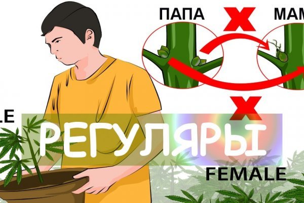 Кракен даркнет ссылка для тор