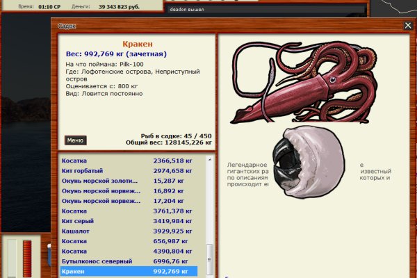 Kraken kraken link24 info