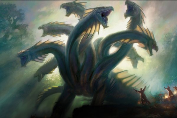Kraken link