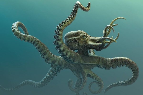 Ссылка на кракен onion kraken dark link