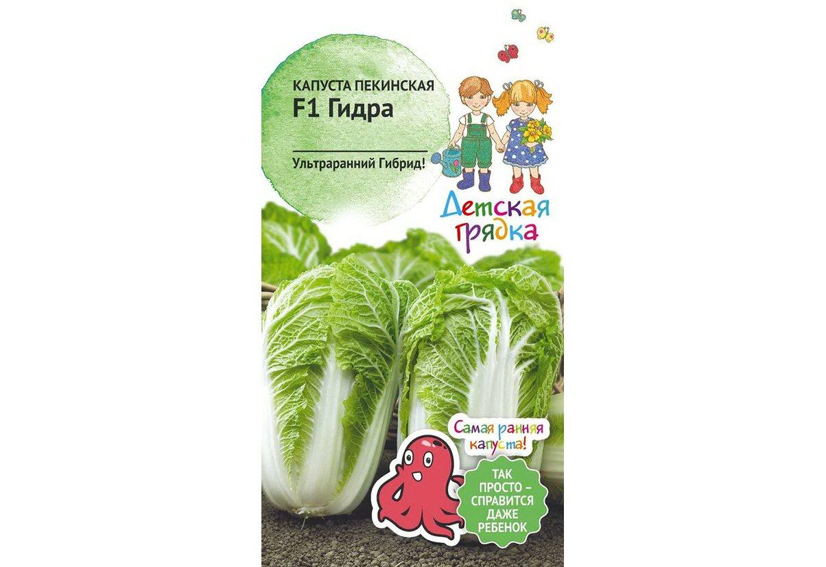 Гидра даркнет рынок